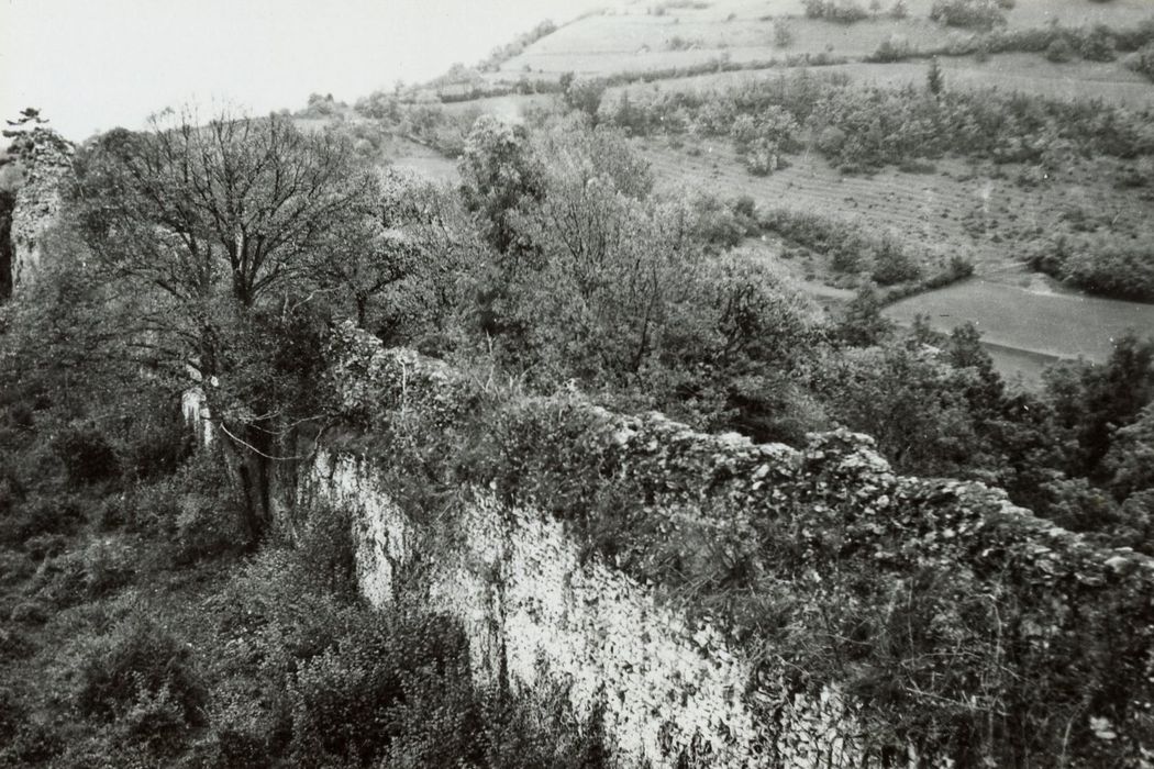 mur d’enceinte sud-nord, élévation ouest