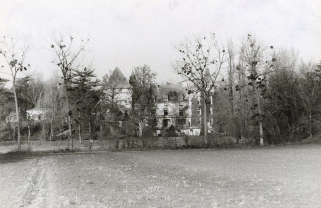 vue partielle du château dans son environnement depuis le Sud-Ouest