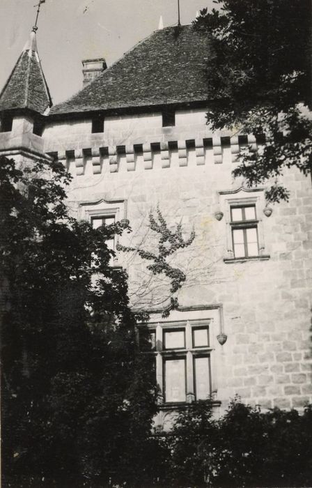 donjon, élévation ouest, vue partielle