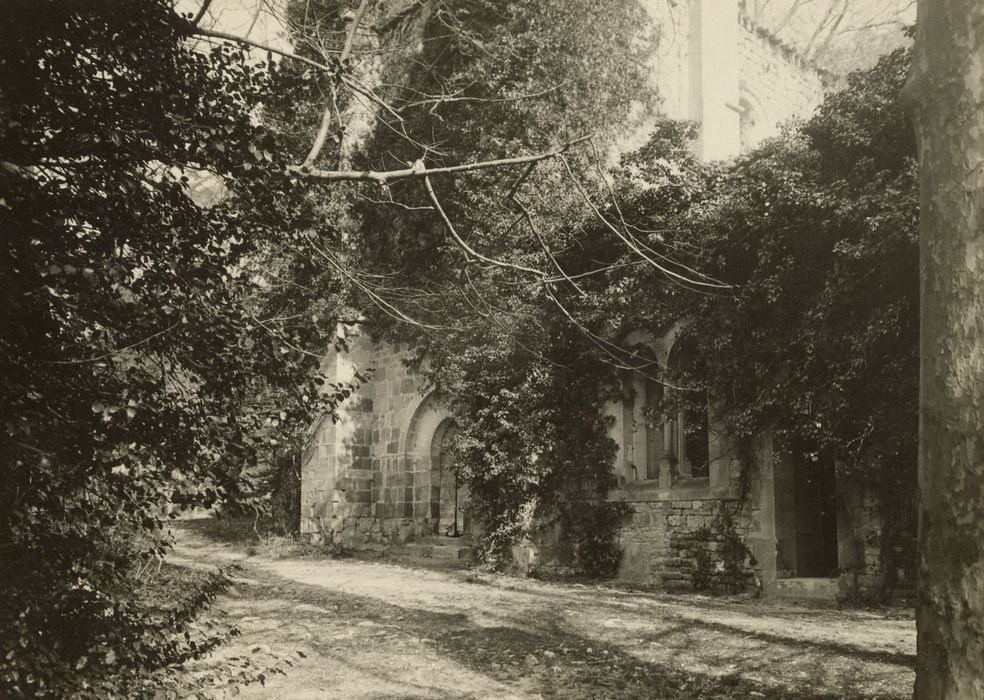 église abbatiale, façade ouest, vue partielle