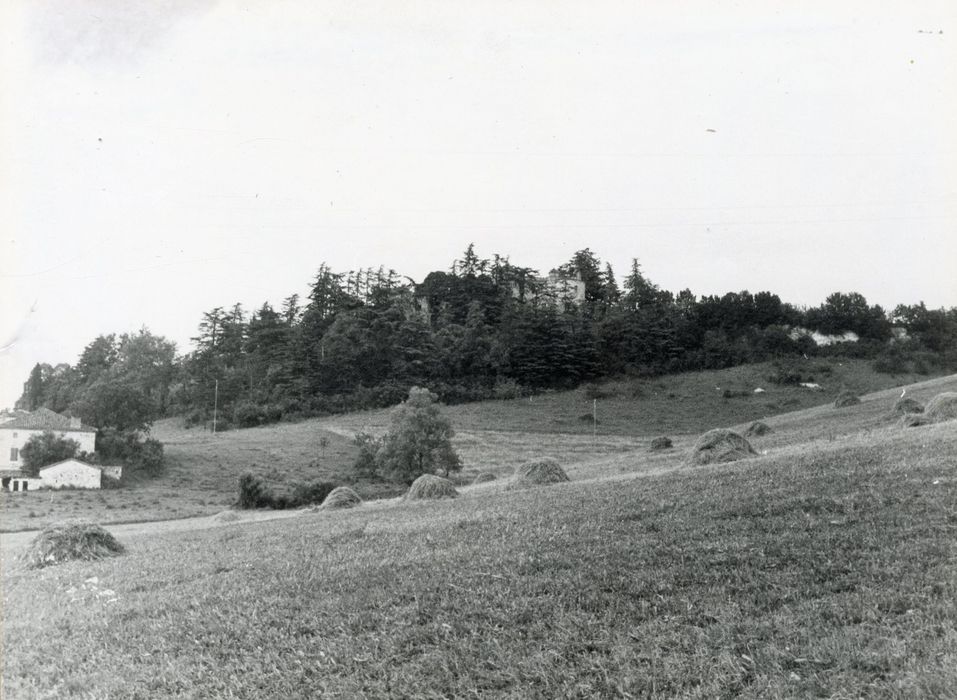 vue partielle du château dans son environnement