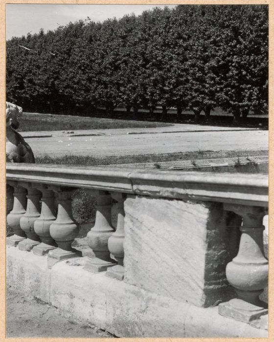 parc, détail de la balustrade encadrant le bassin nord