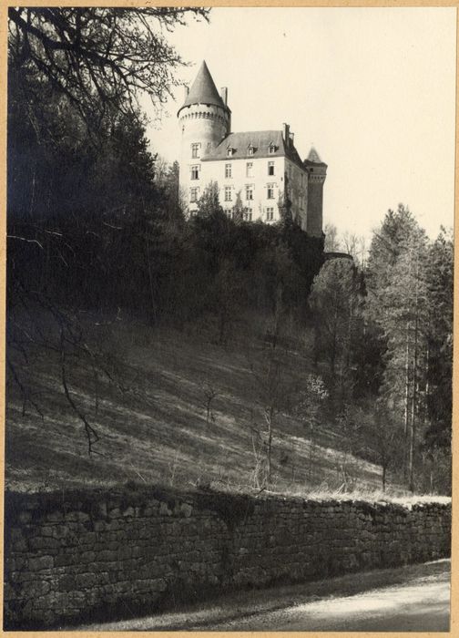vue générale du château dans son environnement depuis le Sud