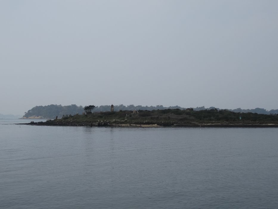 Cromlechs et ilots d'Er-Lanic : Vue générale du site