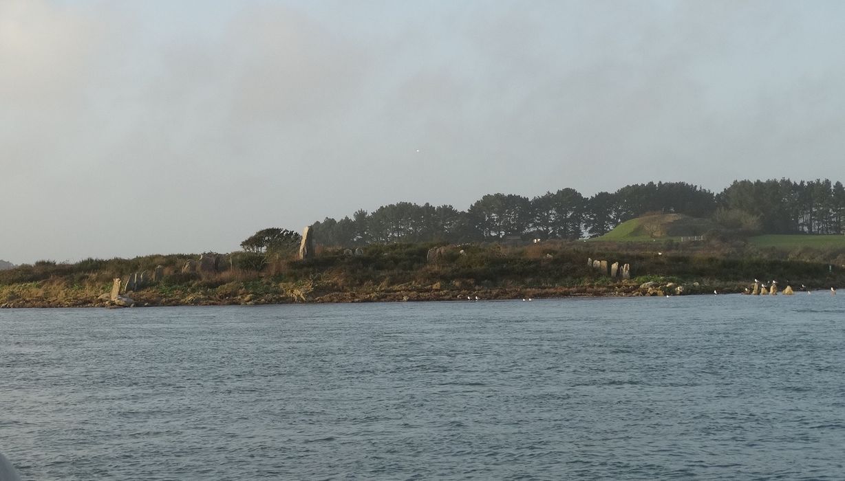 Cromlechs et ilots d'Er-Lanic : Vue générale du site