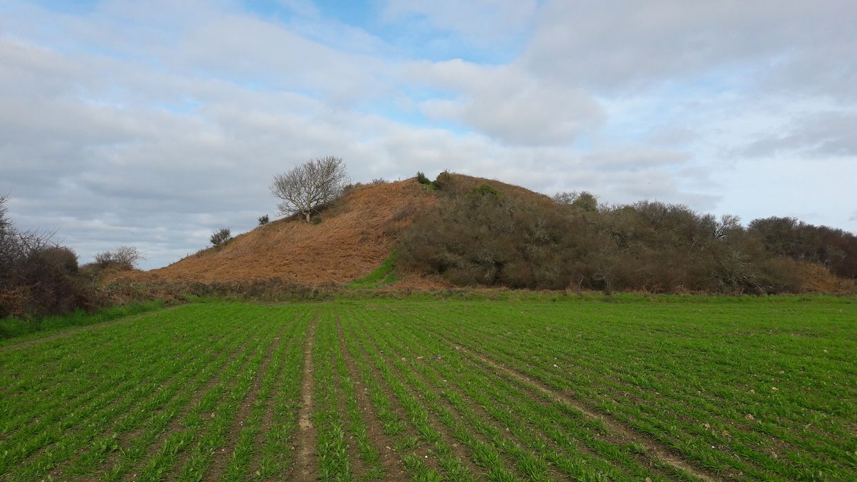 Butte de Thumiac (Tumiac) ou de César : Vue générale du site