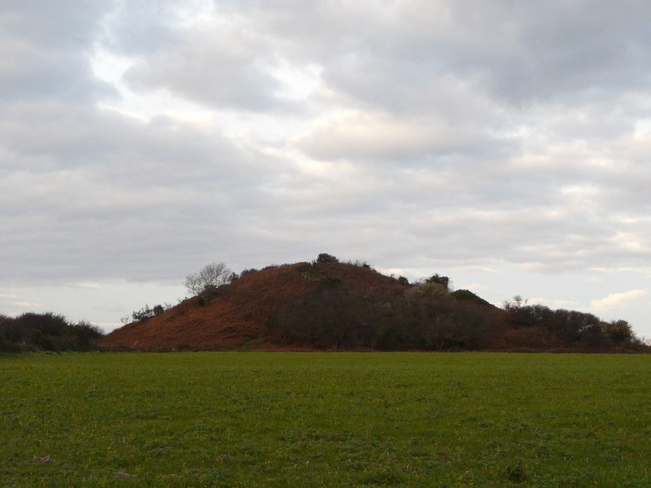 Butte de Thumiac (Tumiac) ou de César : Vue générale du site