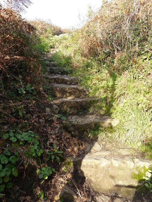 Butte de Thumiac (Tumiac) ou de César : Vue générale