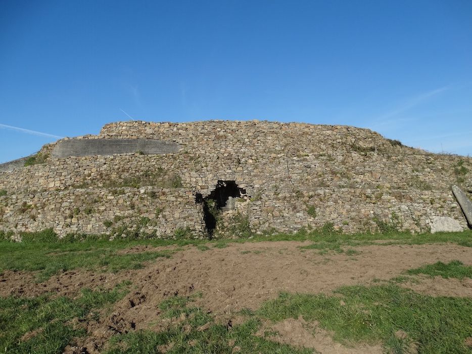 Dolmen du Petit-Mont : Vue générale du site