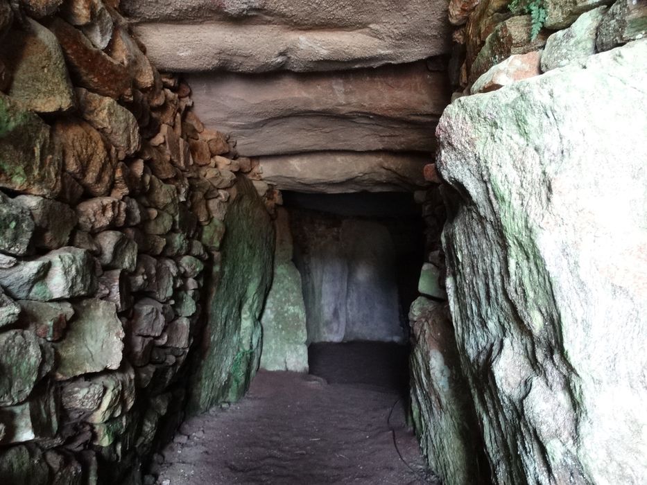 Dolmen du Petit-Mont : Détail