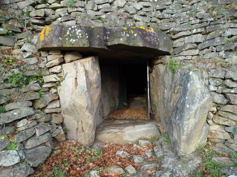 Tumulus-dolmen de l'île Gavrinis : Entrée, vue générale