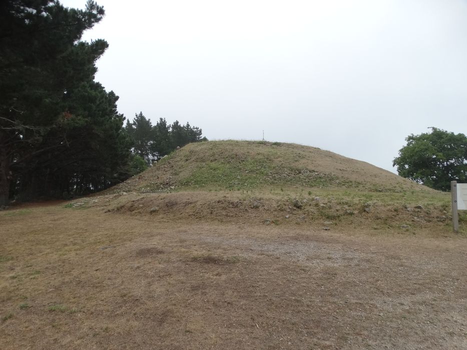 Tumulus-dolmen de l'île Gavrinis : Vue générale du site