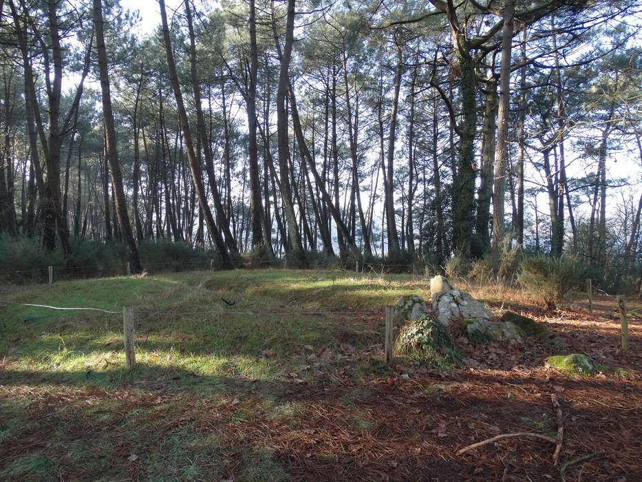 Sépulture circulaire sous tertre tumulaire : Vue générale du site