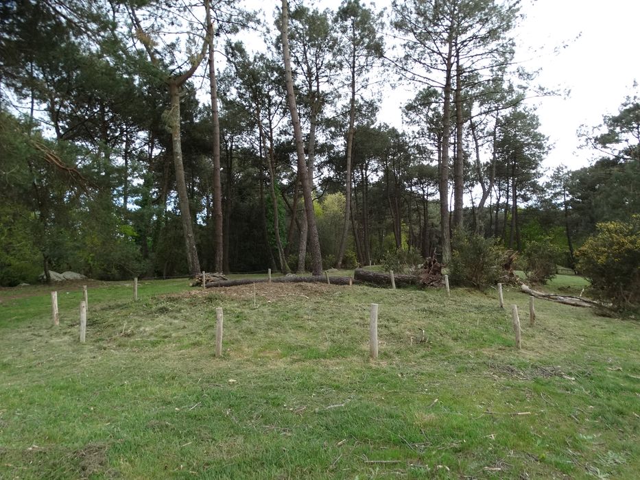 Sépulture circulaire sous tertre tumulaire : Vue générale du site