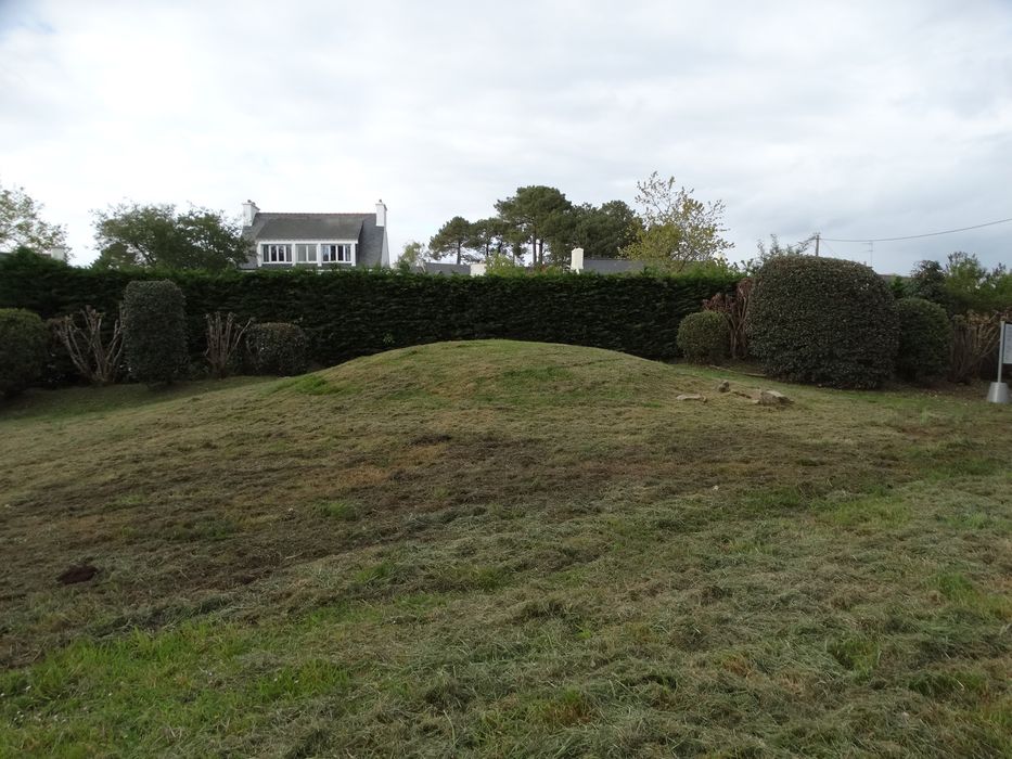 Sépulture circulaire sous tertre tumulaire : Vue générale du site