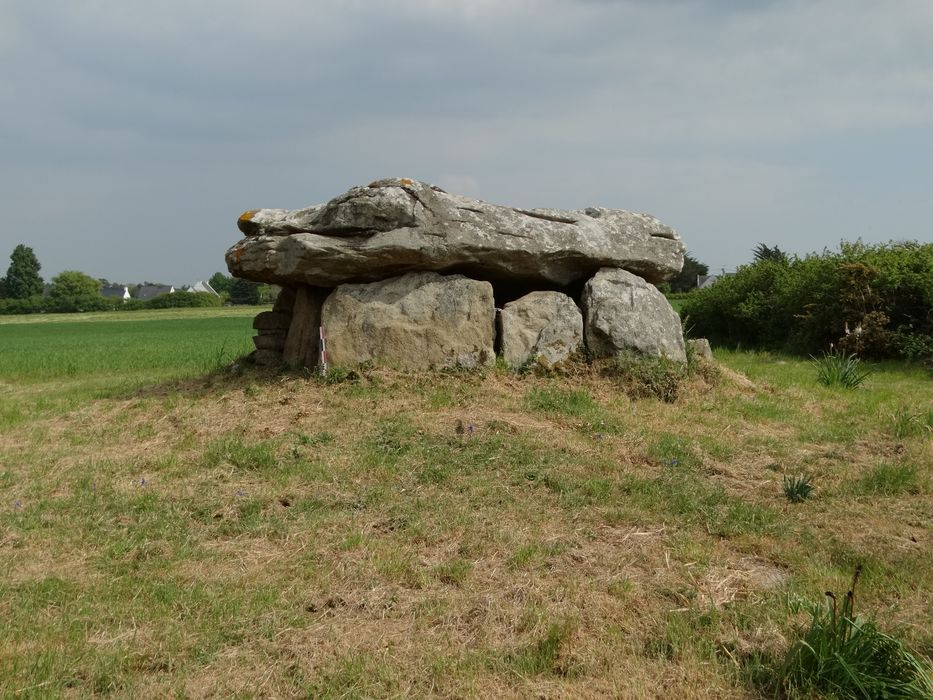 Dolmen situé au lieudit Kergazec : Vue générale