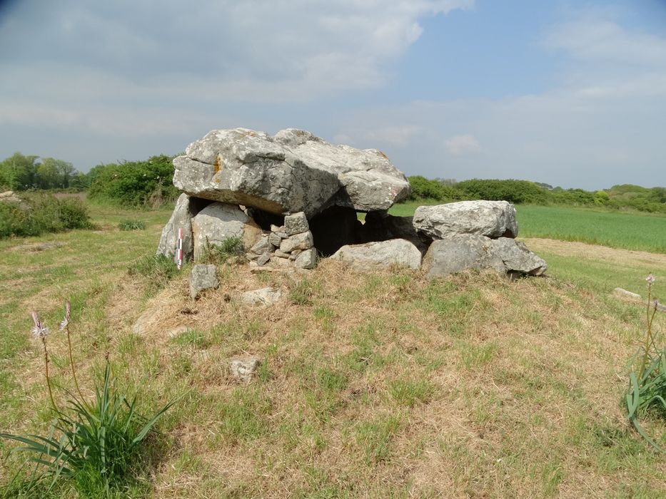 Dolmen situé au lieudit Kergazec : Vue générale