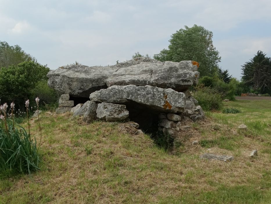 Dolmen situé au lieudit Kergazec : Vue générale