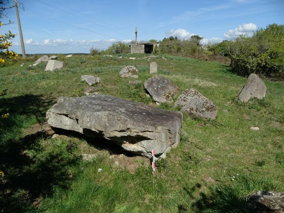 Dolmen de Mané-Remor : Vue générale du site