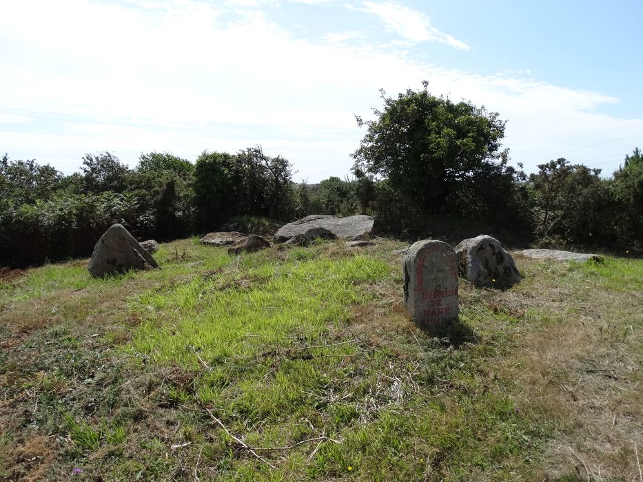 Dolmen de Mané-Remor : Vue générale du site