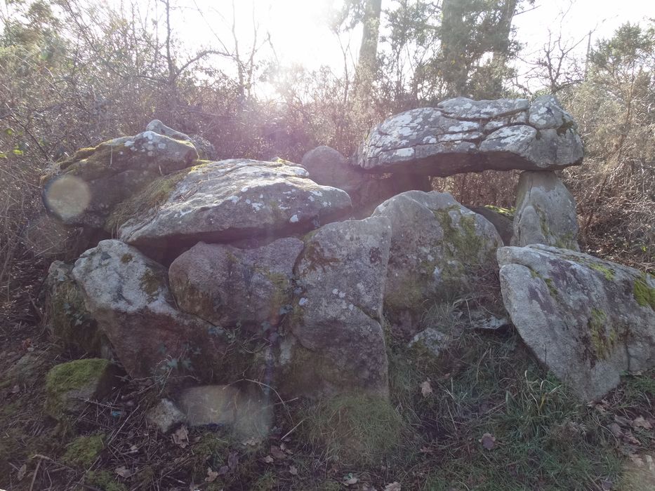 Dolmen : Vue générale