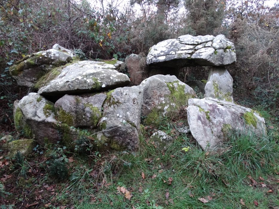 Dolmen : Vue générale