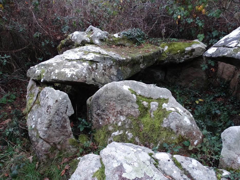 Dolmen : Vue générale