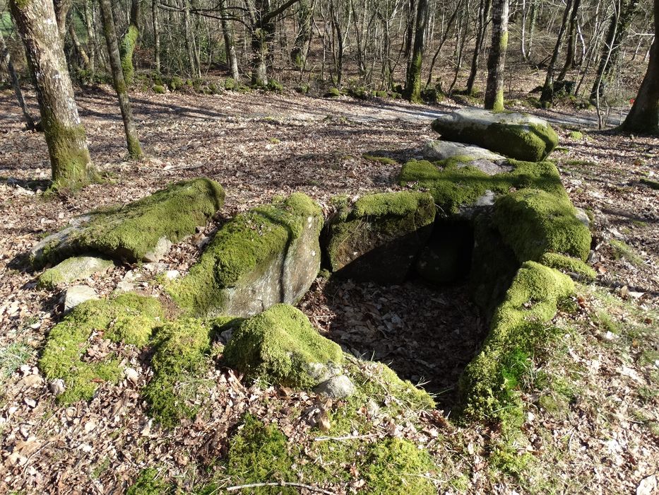 Deux dolmens à galerie avec restes de tumulus : Vue partielle du site