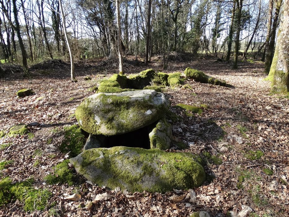 Deux dolmens à galerie avec restes de tumulus : Vue partielle du site
