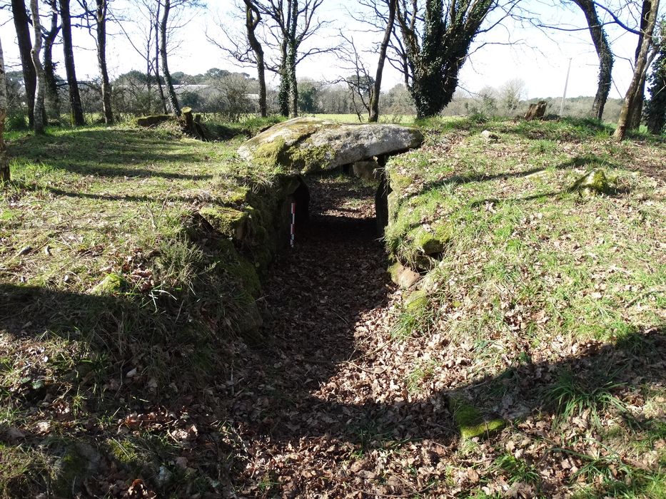 Deux dolmens à galerie avec restes de tumulus : Vue partielle du site