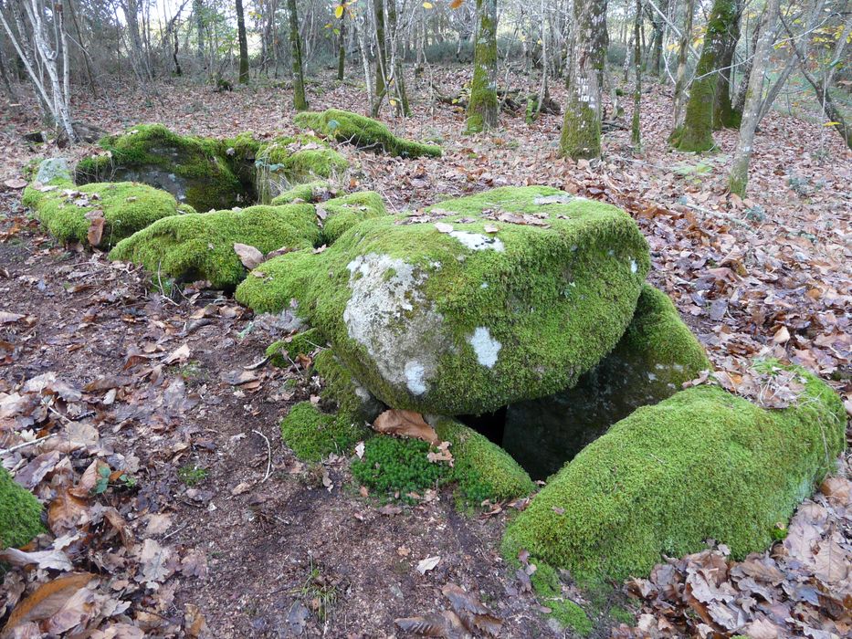 Deux dolmens à galerie avec restes de tumulus : Vue partielle du site