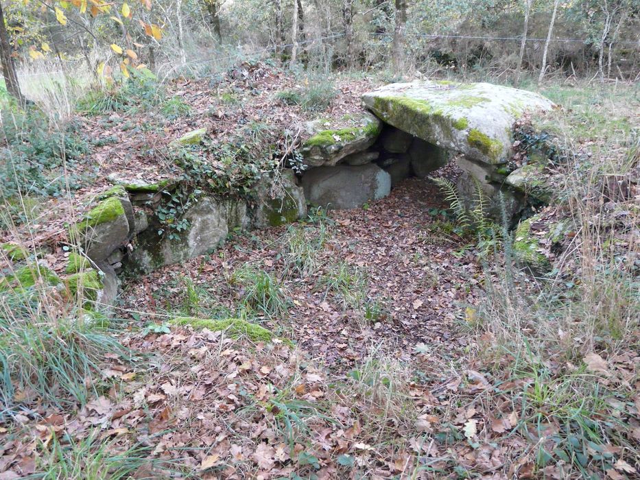 Deux dolmens à galerie avec restes de tumulus : Vue partielle du site