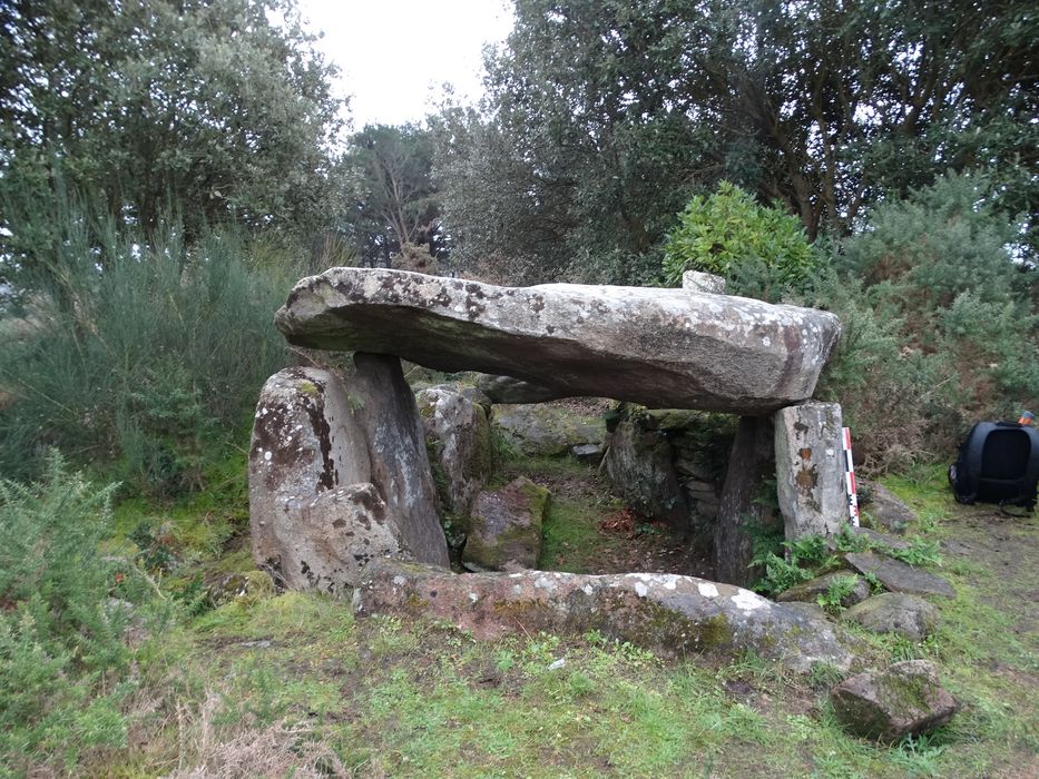 Dolmen de Mané Rohr : Vue générale