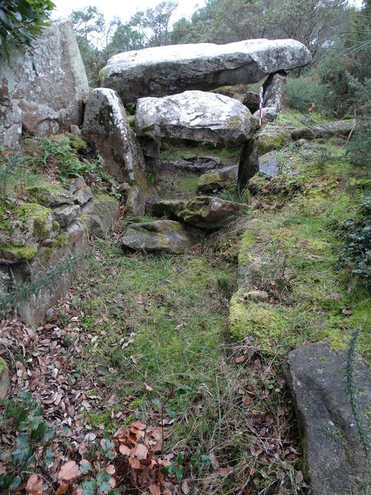 Dolmen de Mané Rohr : Vue générale