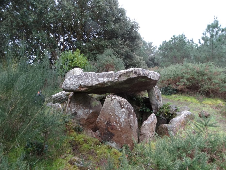 Dolmen de Mané Rohr : Vue générale