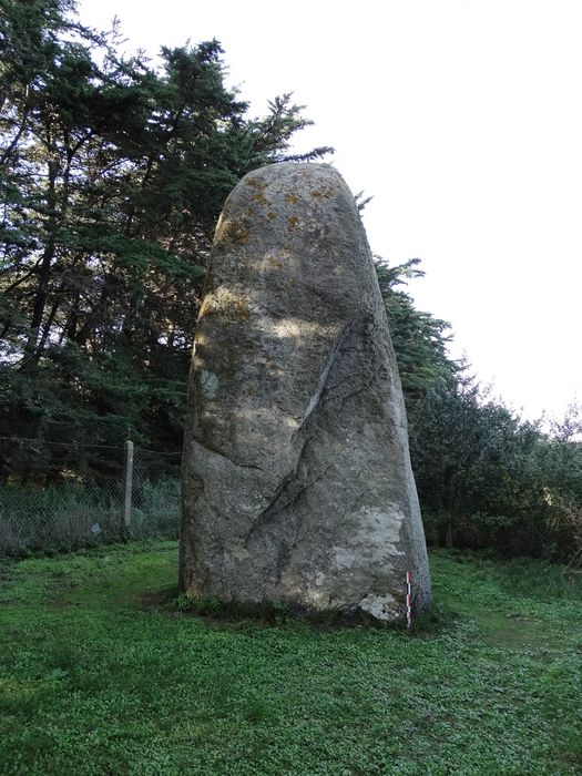 Menhir de Goulvarc'h