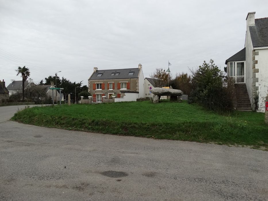 Dolmen de Beaumer : Vue générale