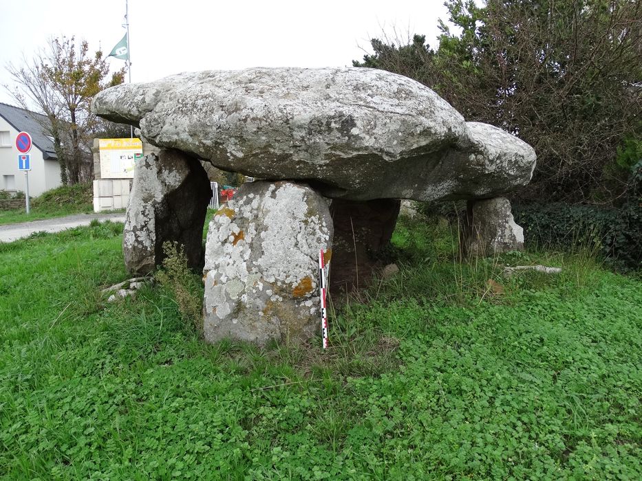 Dolmen de Beaumer : Vue générale