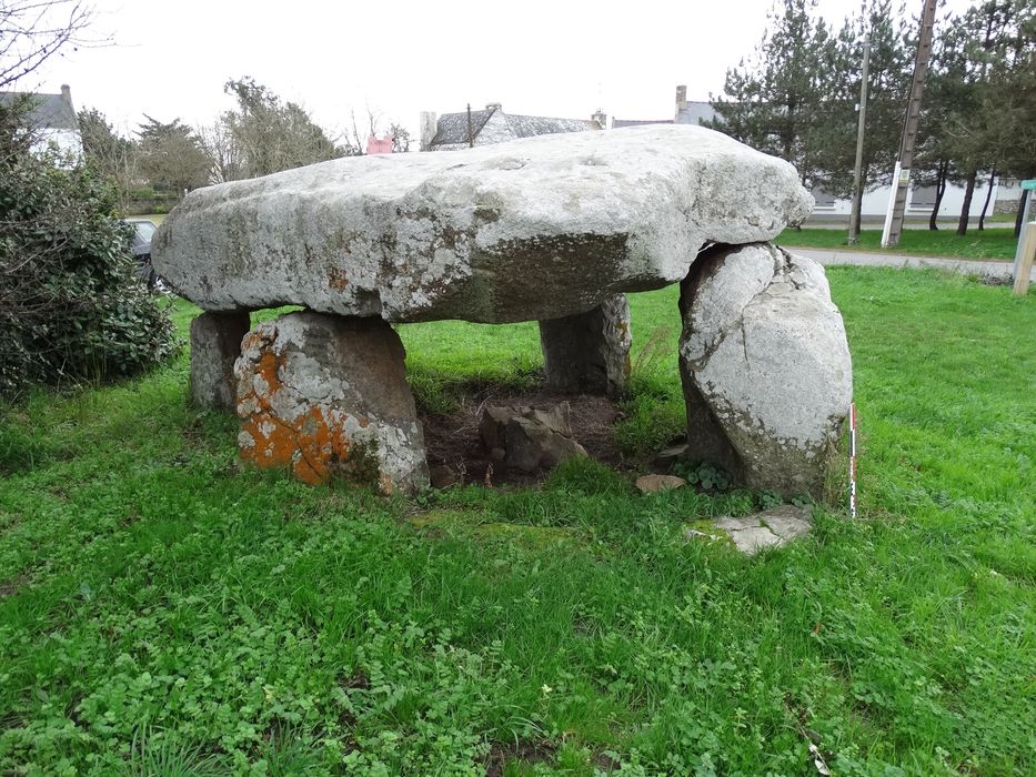 Dolmen de Beaumer : Vue générale