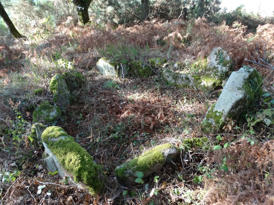 Dolmen à galerie de Coët-à-Tous (Mané-Grageux) : Vue générale