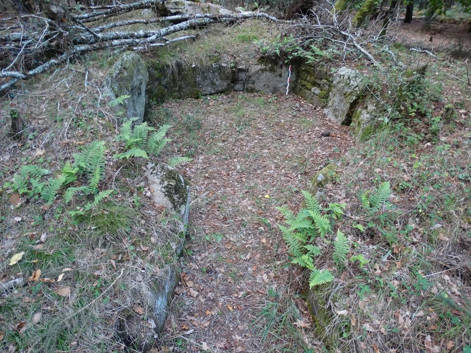 Tumulus à double dolmen dit Er-Voten-de-Mané-Lavarec : Vue partielle