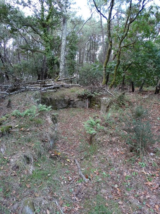 Tumulus à double dolmen dit Er-Voten-de-Mané-Lavarec : Vue générale du site