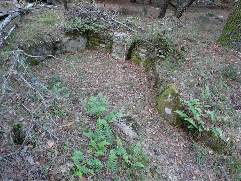 Tumulus à double dolmen dit Er-Voten-de-Mané-Lavarec : Vue partielle