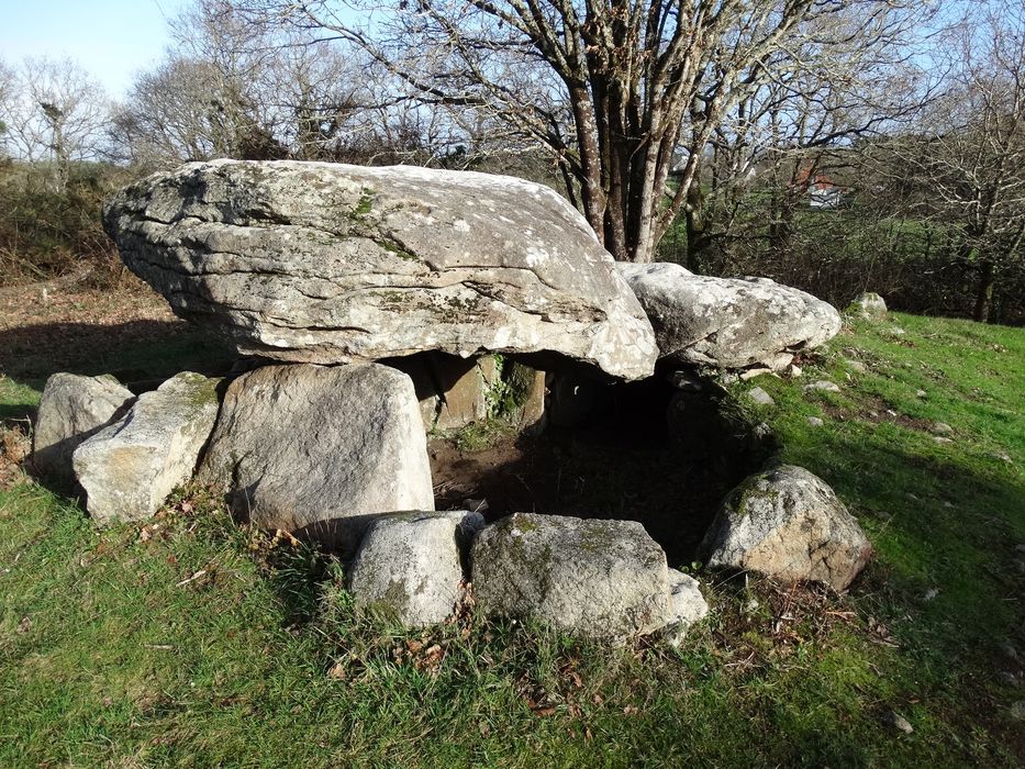 Dolmen de Kervehennec dit Mané-Han : Vue générale