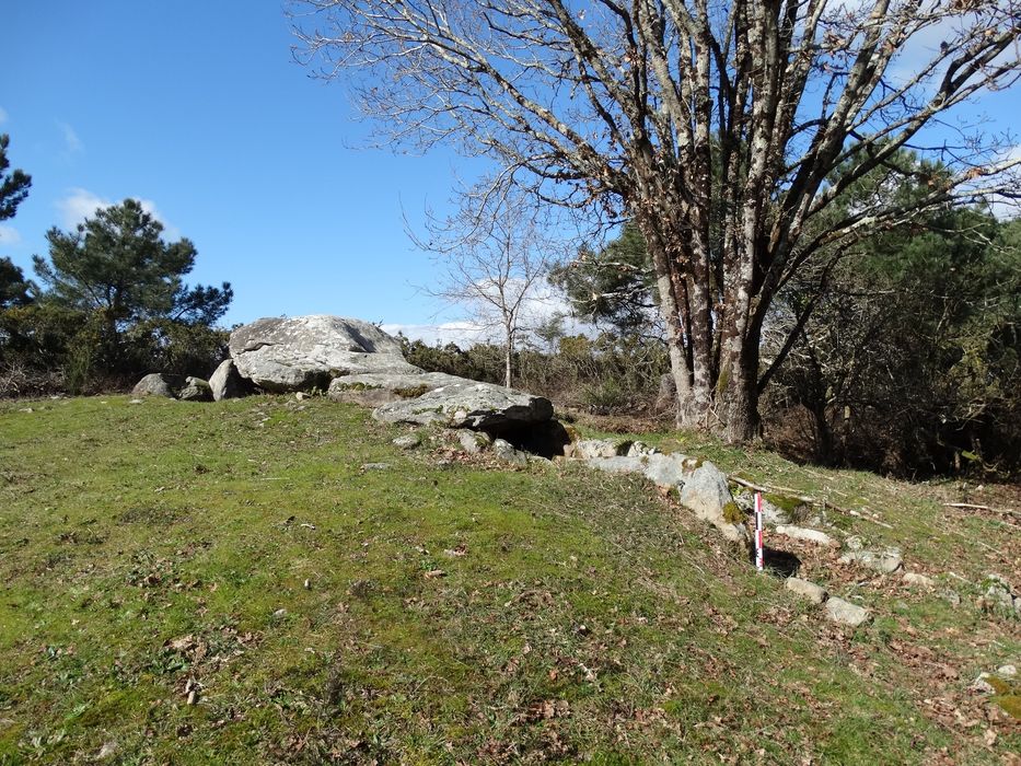 Dolmen de Kervehennec dit Mané-Han : Vue générale