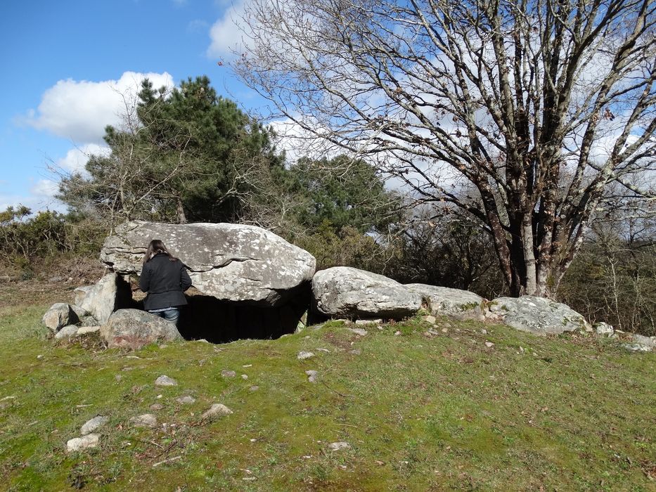 Dolmen de Kervehennec dit Mané-Han : Vue générale