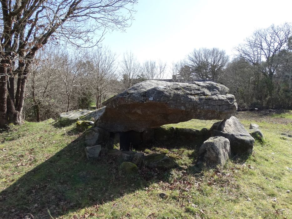 Dolmen de Kervehennec dit Mané-Han : Vue générale