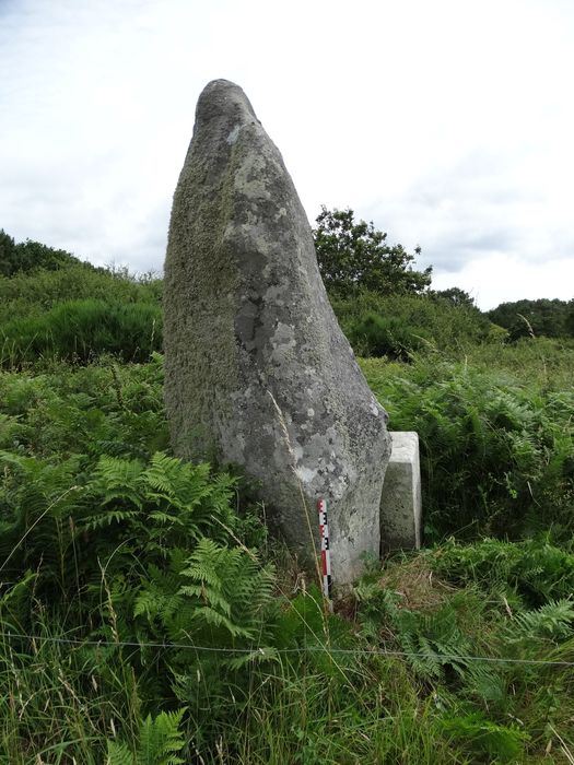 Menhir de Crifol : Vue générale