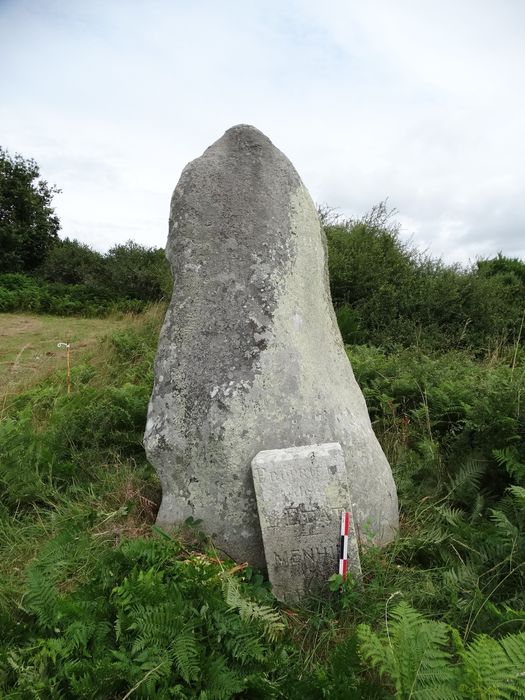 Menhir de Crifol : Vue générale