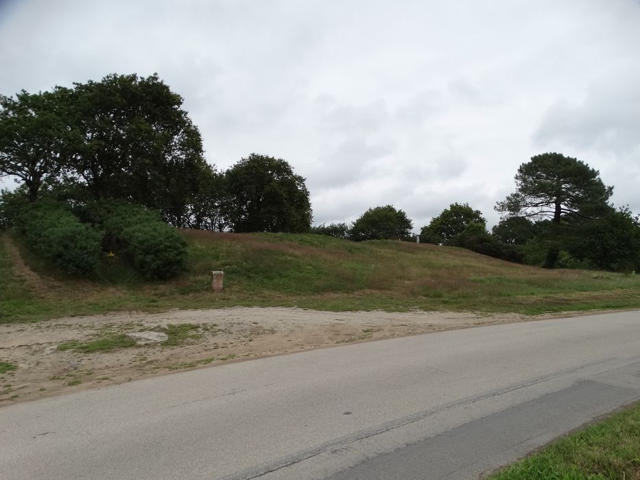 Tumulus à menhir du Moustoir-Carnac : Vue partielle du site